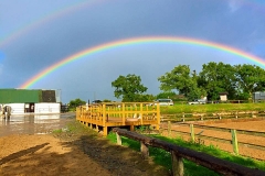 rainbow_at_shrule