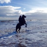 Great day for a beach ride!
